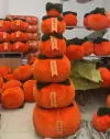 New plush toy, pumpkin doll doll Item Picture